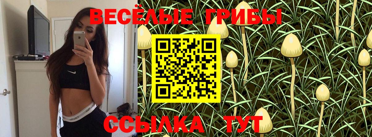 цена наркотик  Вход с VPN  Малоярославец  Псилоцибиновые грибы ЛСД 